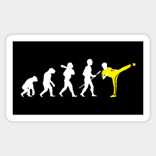 Kung Fu Evolution - Inverted Sticker